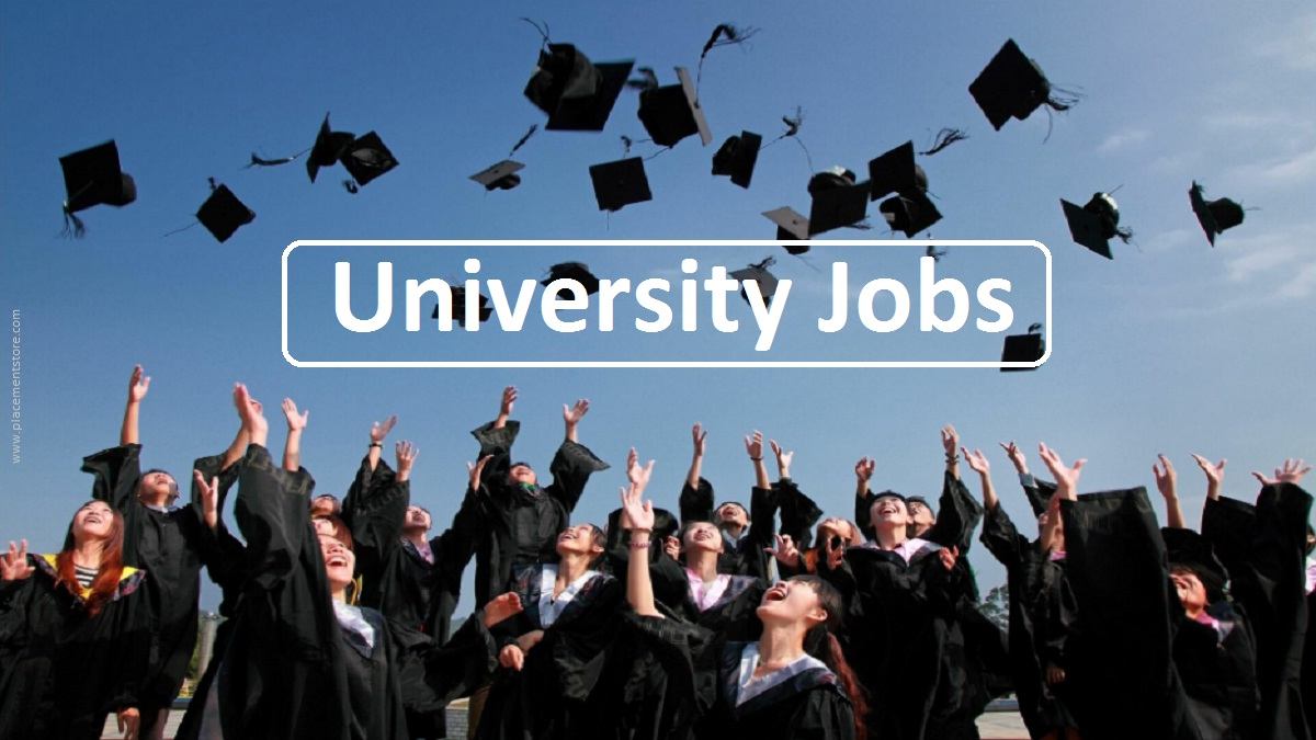Kalyani University Recruitment 2025: প্রকল্প সহকারী এবং ক্ষেত্র সহকারী পদের জন্য ওয়াক-ইন ইন্টারভিউ